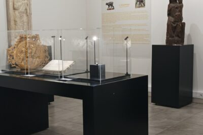 Agrandir l'image 3 sur 3, fenêtre modale