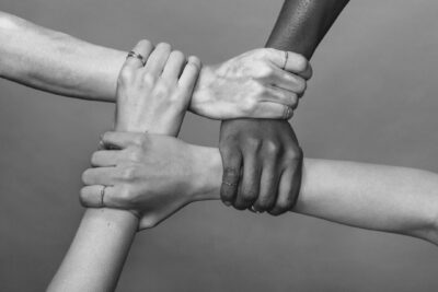 Agrandir l'image 1 sur 3, fenêtre modale