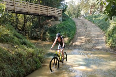 Agrandir l'image 3 sur 3, fenêtre modale