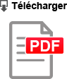 icone Téléchargement en pdf