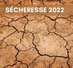 Indemnisation calamité agricole sècheresse 2022