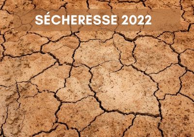 Indemnisation calamité agricole sècheresse 2022