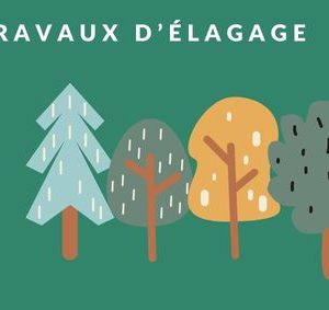 RTE I Travaux d’élagage 20 mars-7 mai