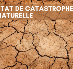 Reconnaissance de l’état de catastrophe naturelle