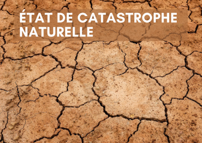 Reconnaissance de l’état de catastrophe naturelle